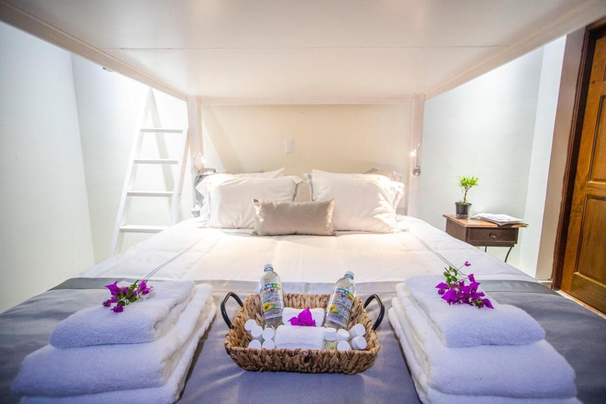 Apartment Open Space Concept That Allows For Multiple Places To Hang Out San Salvador